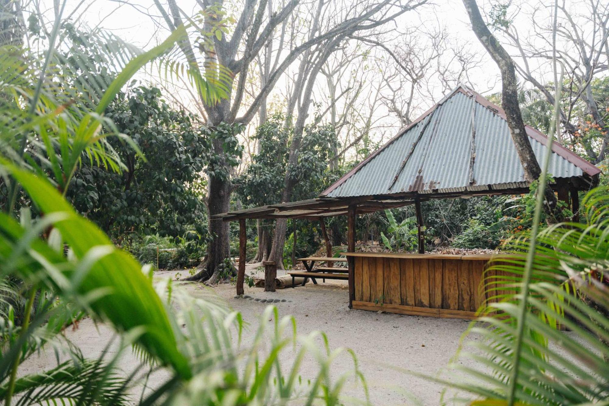 Zeneidas Surf Garden Playa Santa Teresa  Ngoại thất bức ảnh