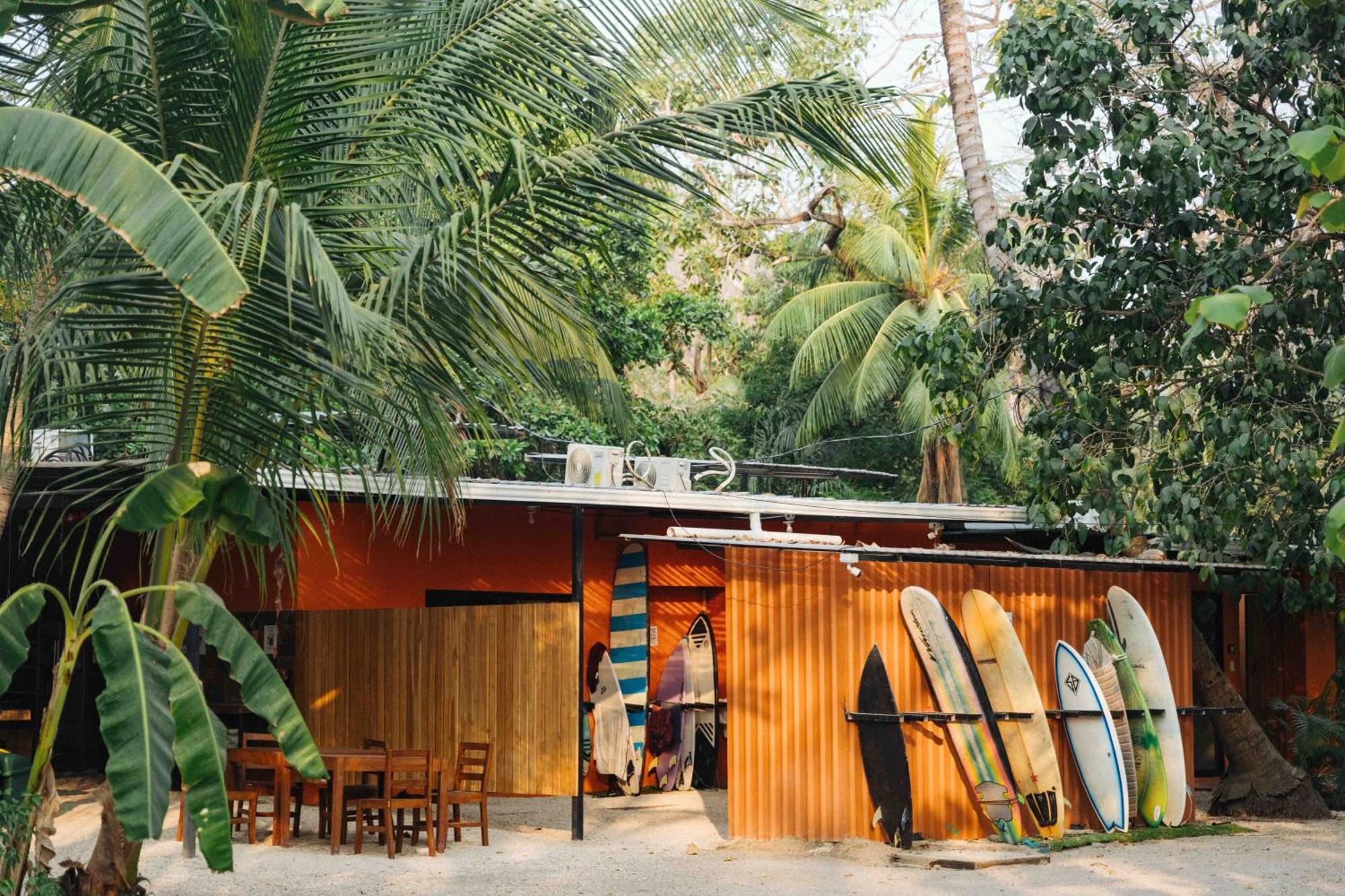 Zeneidas Surf Garden Playa Santa Teresa  Ngoại thất bức ảnh