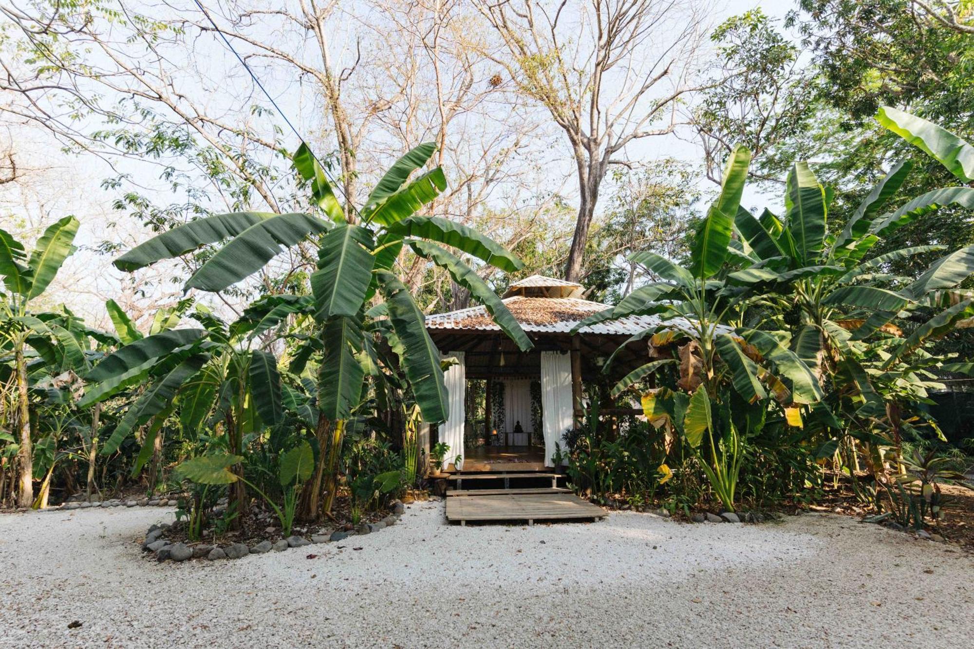 Zeneidas Surf Garden Playa Santa Teresa  Ngoại thất bức ảnh